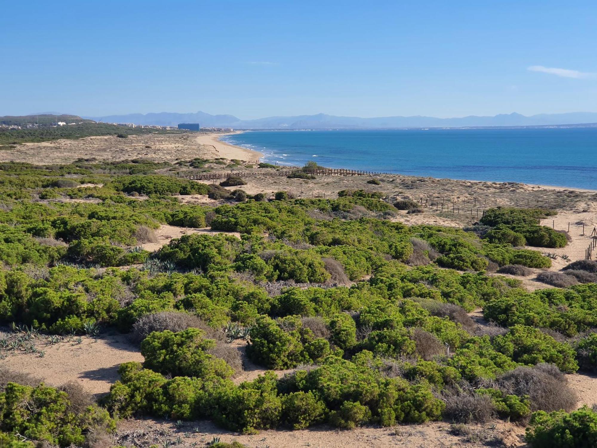 Al048 Pinada Beach IV La Mata Ла Мата Екстериор снимка